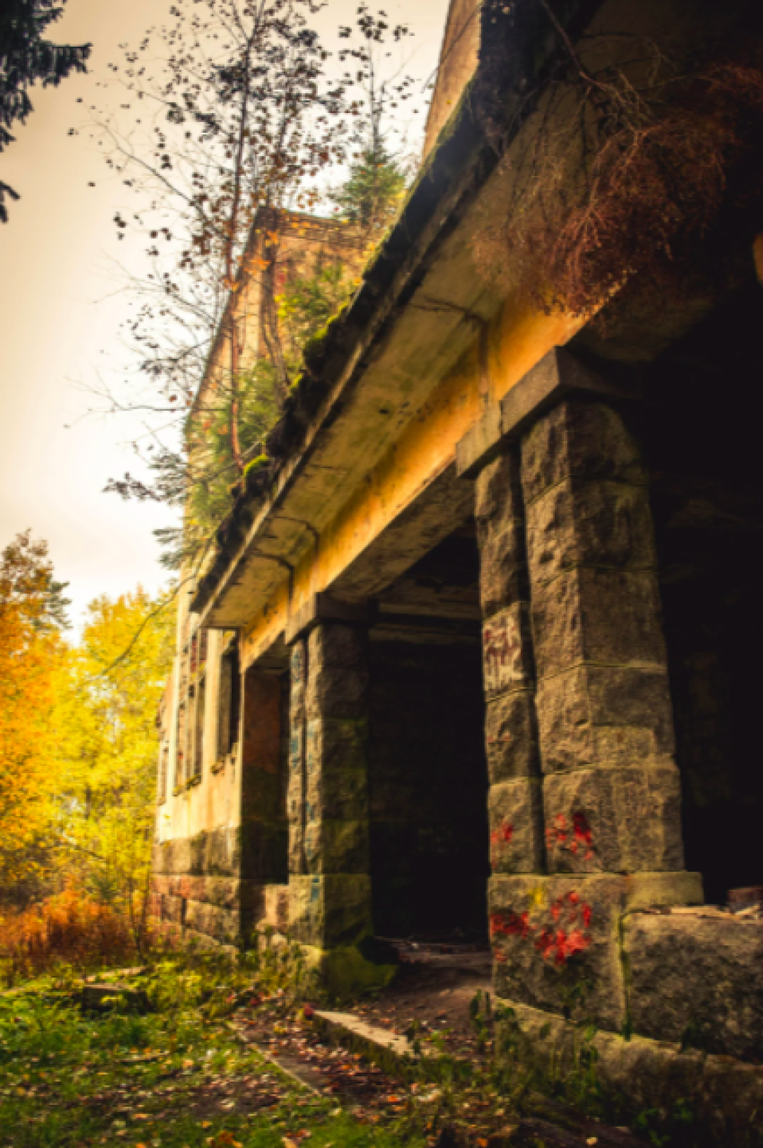 фото: Михаил Микляев