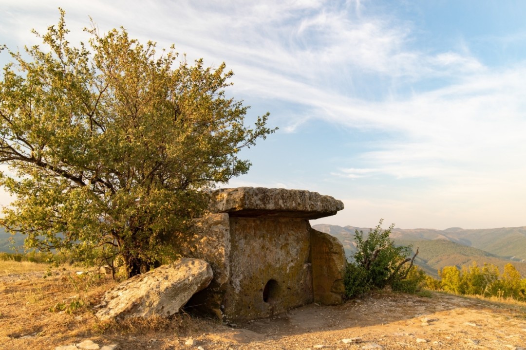 Фото: https://tvil.ru/