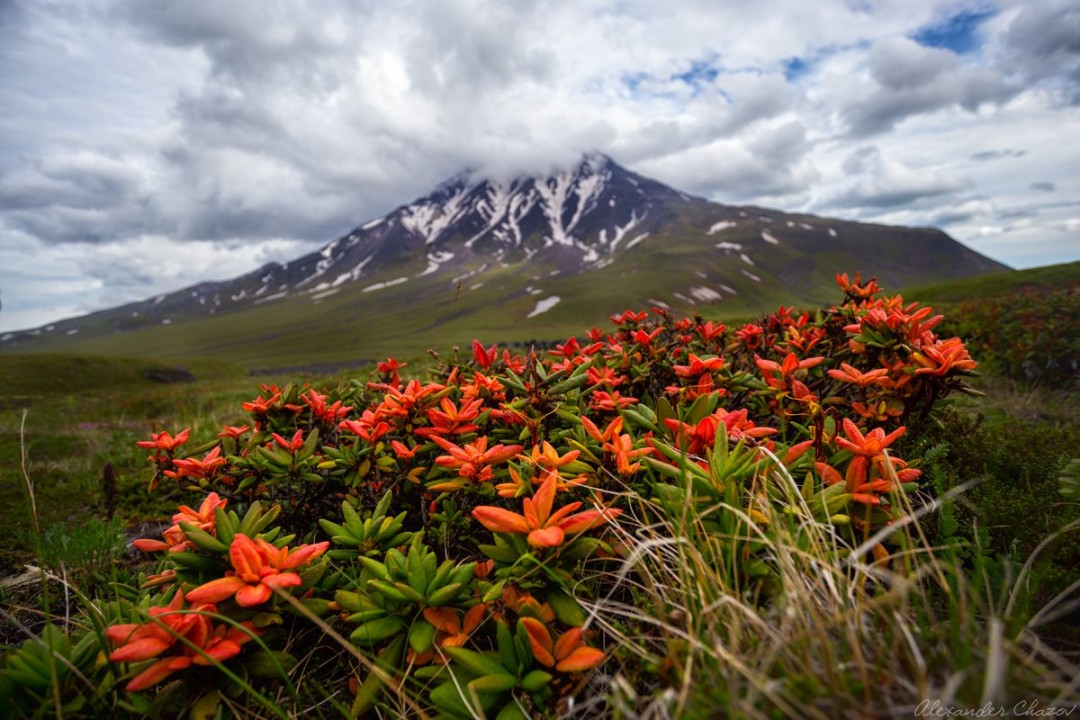 Камчатка. Фото: Александр Чазов
