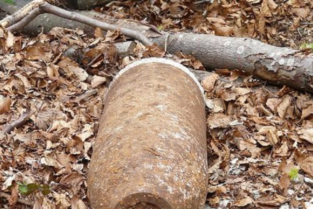 Фото: pixabay.com