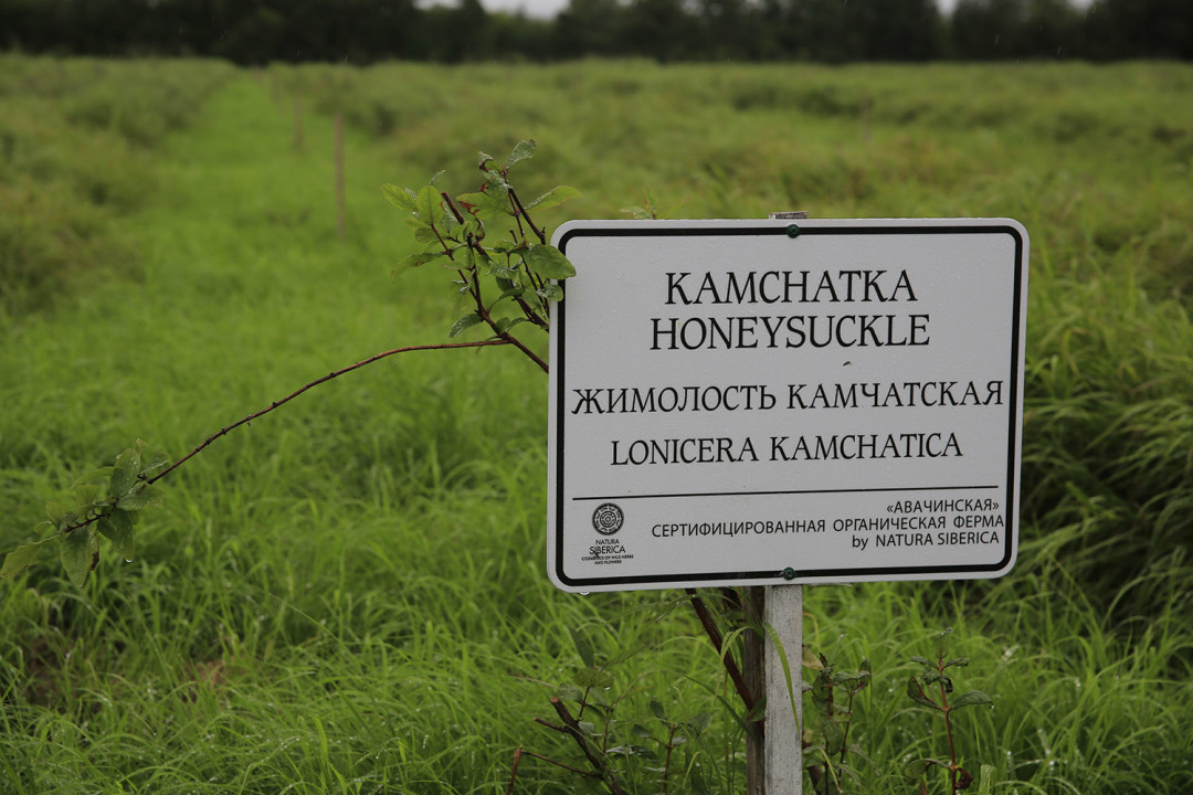 Ферма на Камчатке