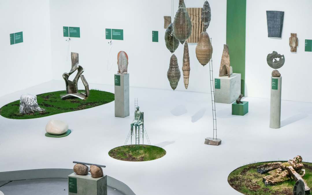 Экспозиция выставки «Когда дерево станет камнем». Фото: Марина Белова