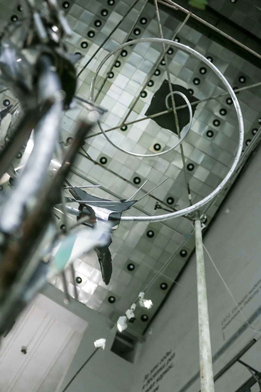 Экспозиция выставки «Когда дерево станет камнем». Фото: Марина Белова