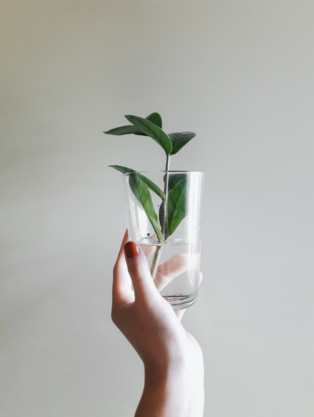 Источник: unsplash.com