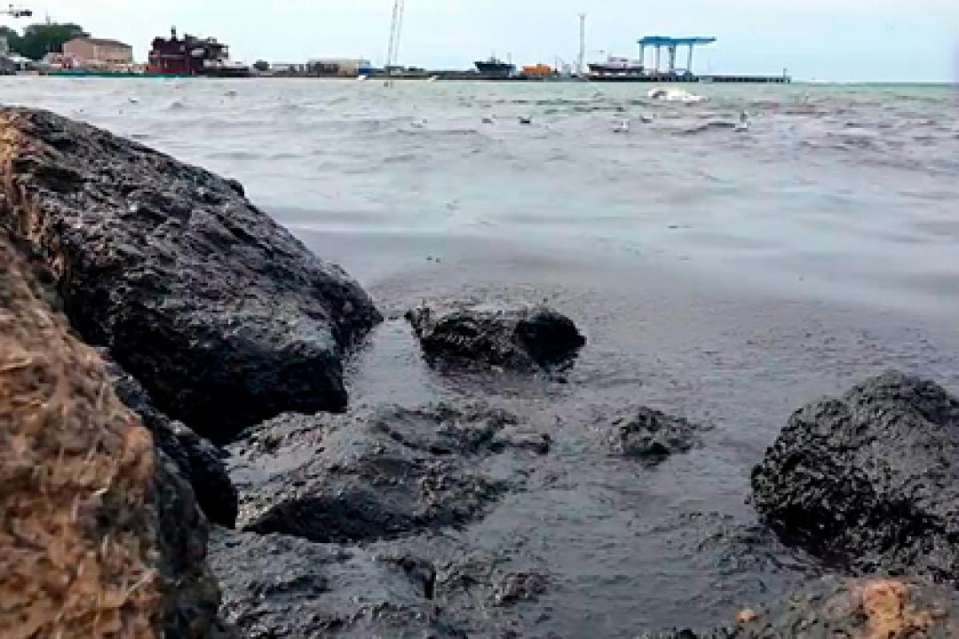 Фото: Известия