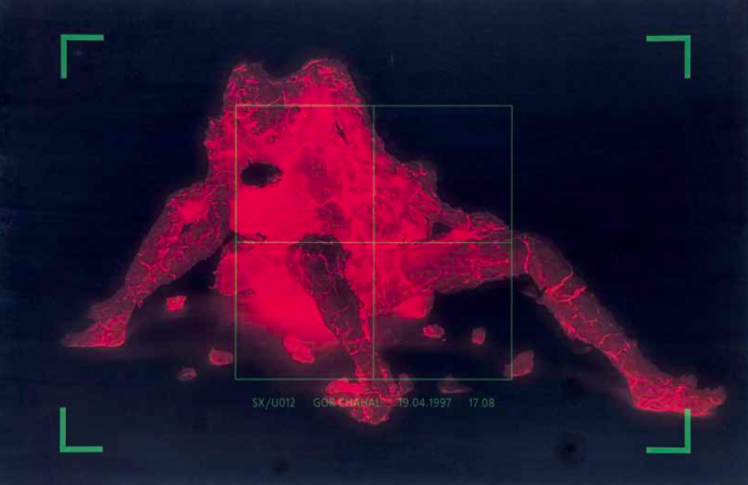 Гор Чахал. Любовь SX/U 012. 1997. Дар М. А. Гельмана, 2005