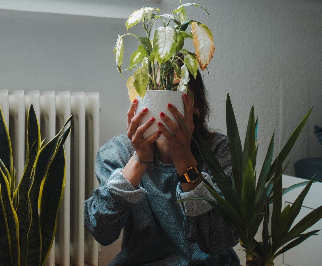 Источник: unsplash.com