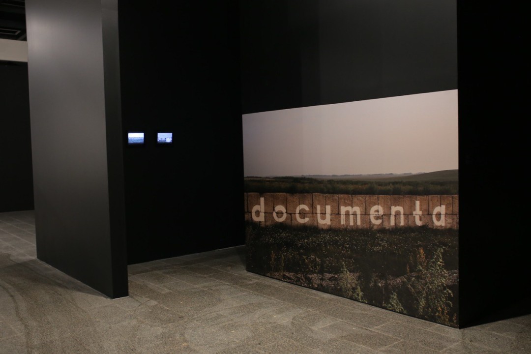 Анастасия Богомолова, «Documenta», 2019. фото: Михаил Вильчук
