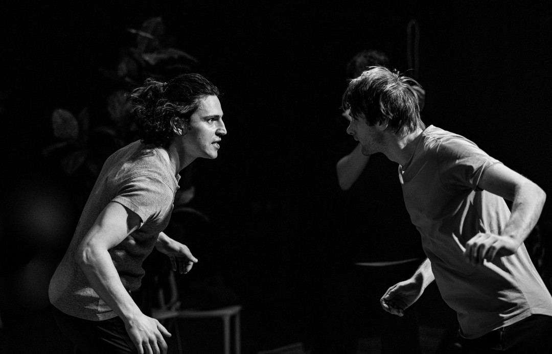 Стас Левшин, БДТ им. Г.А. Товстоногова