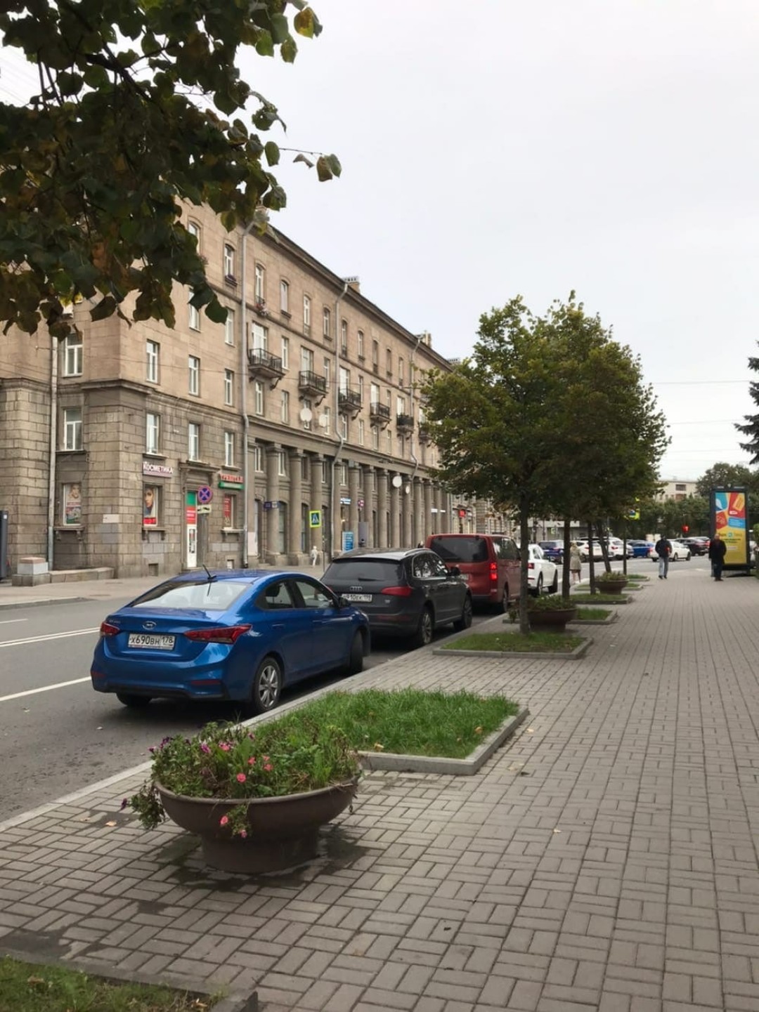 Квадраты на площади Шевченко, в которых активисты высадят каштаны