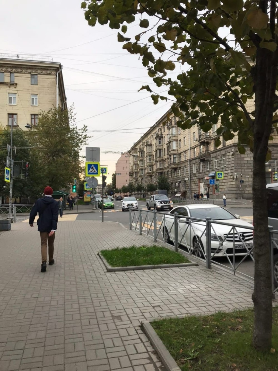 Квадраты на площади Шевченко, в которых активисты высадят каштаны