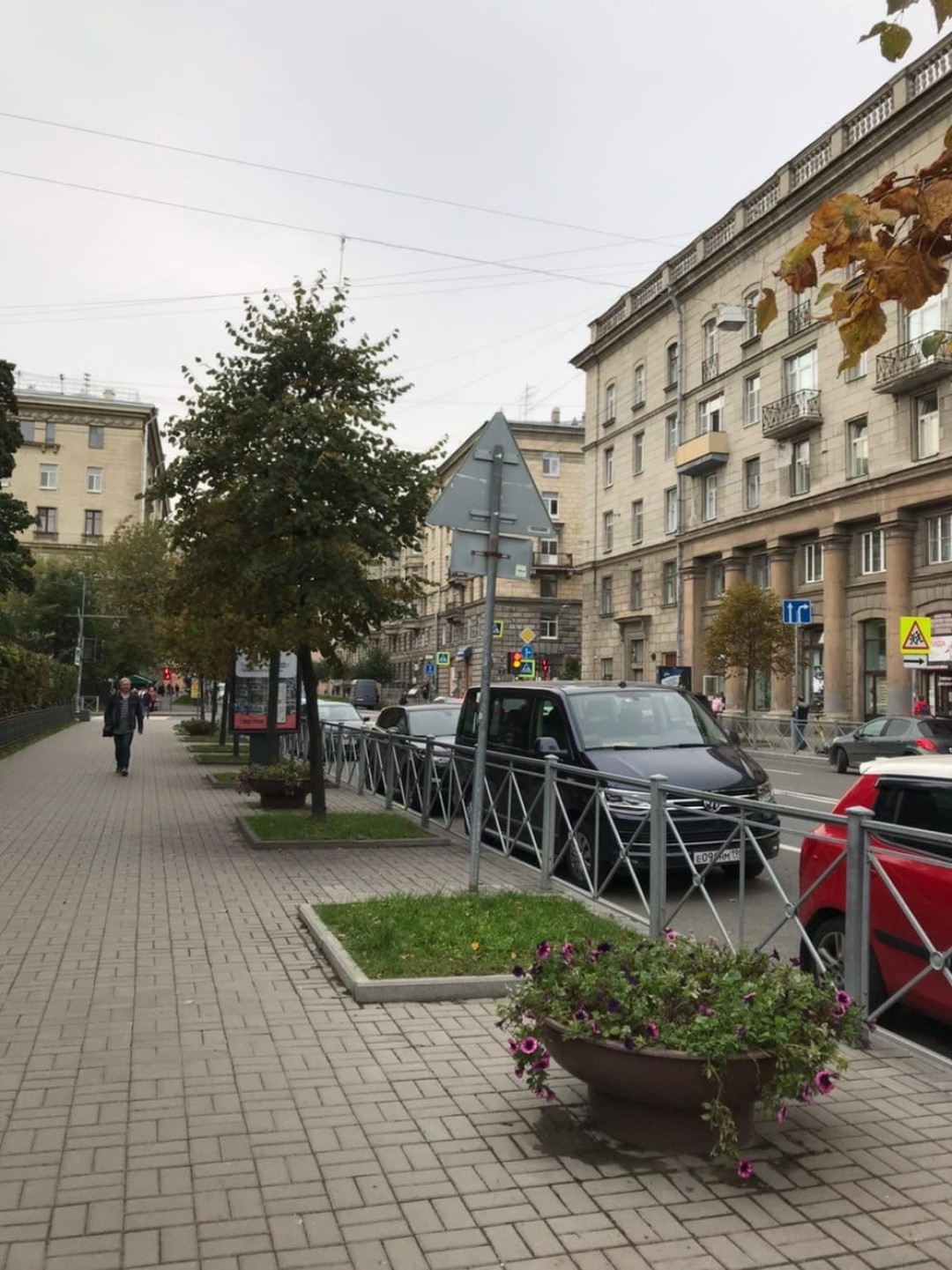 Квадраты на площади Шевченко, в которых активисты высадят каштаны