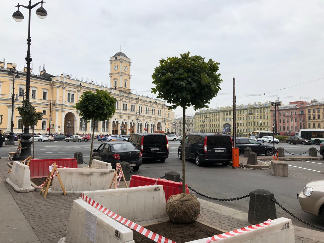 Посадка кленов на площади Восстания