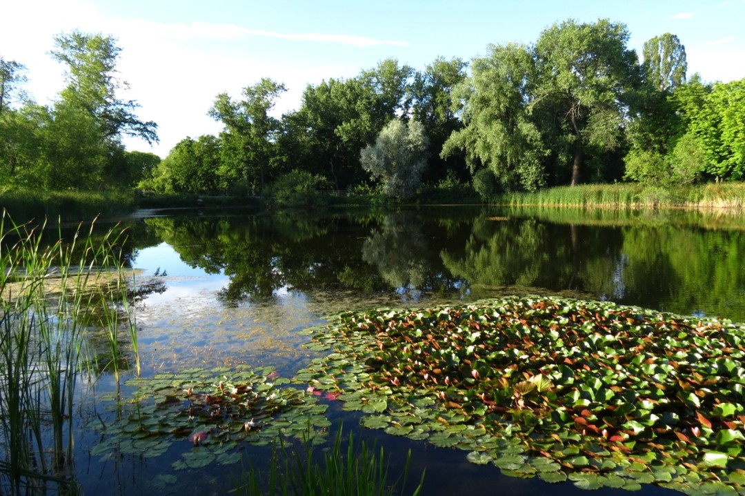 Источник фото.