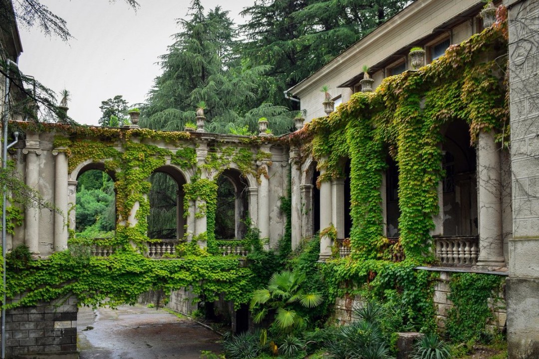 Дворцы сочи фото Дворцы сочи фото