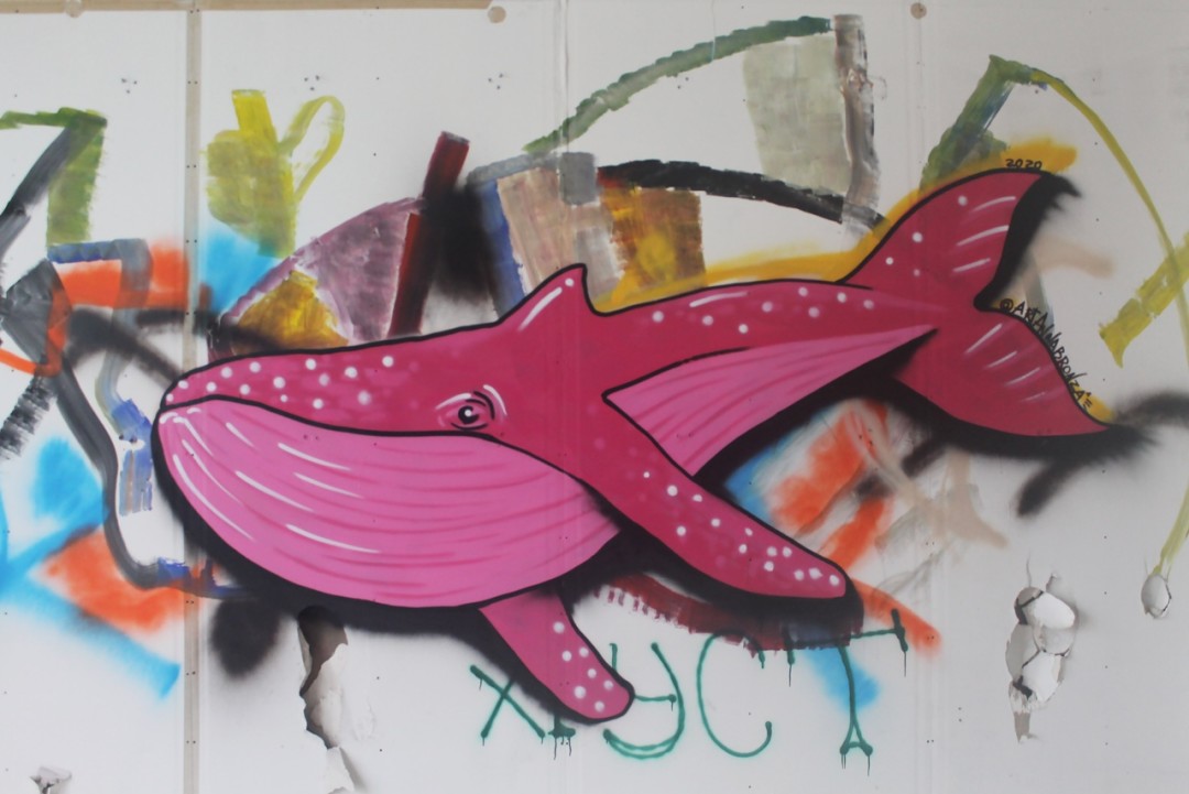 фото: Николай Стекольников