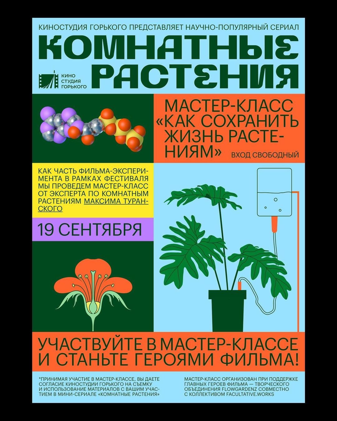Афиши студии Facultative Works к проекту о комнатных растениях