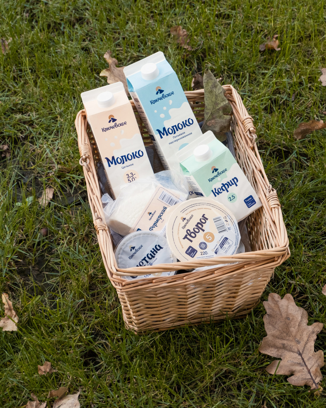 Мороженое из натурального молока «Ключевское» можно попробовать в мастерских Gelati — обращайте внимание на бирки на витринах!