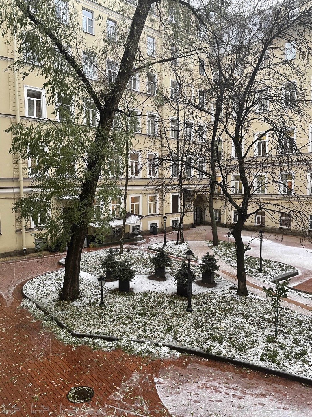 Снег в санкт петербурге сегодня