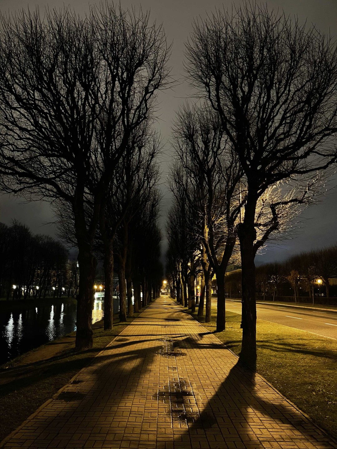 Аллея вдоль реки Мойки к Нижнему Лебяжьему мосту