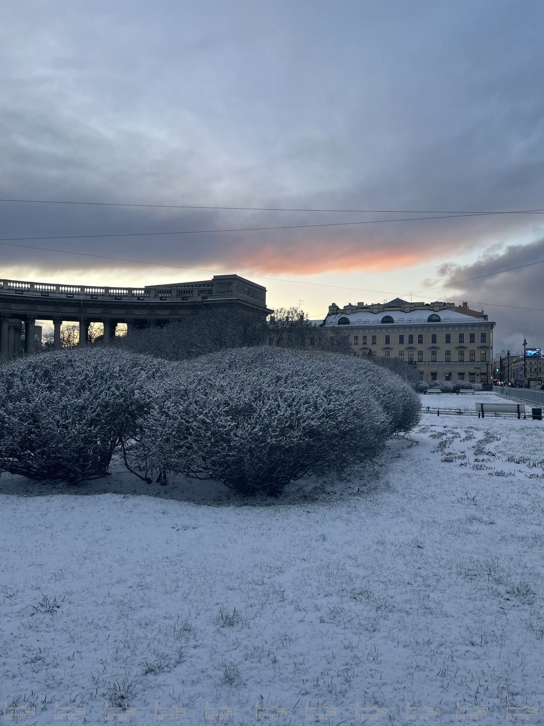 метель в санкт петербурге