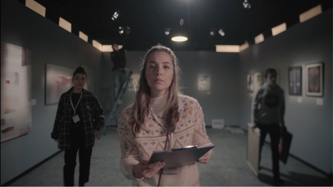 Мерт и Берк Сата, Турция. Синопсис: В музее современного искусства открывается новая экспозиция. Одна из картин ошибочно вывешена вверх ногами. Пока