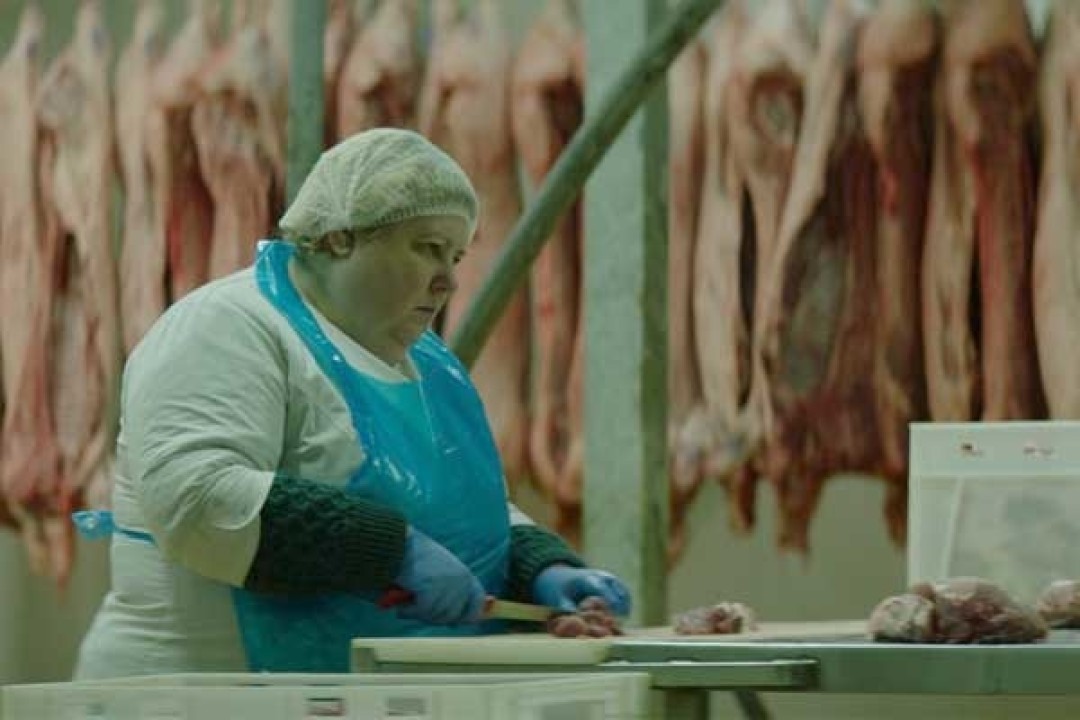 Декель Беренсон, Украина, Великобритания. Синопсис: Анна – мать одиночка, которая безрадостно живет в украинской провинции. Однажды на работе она