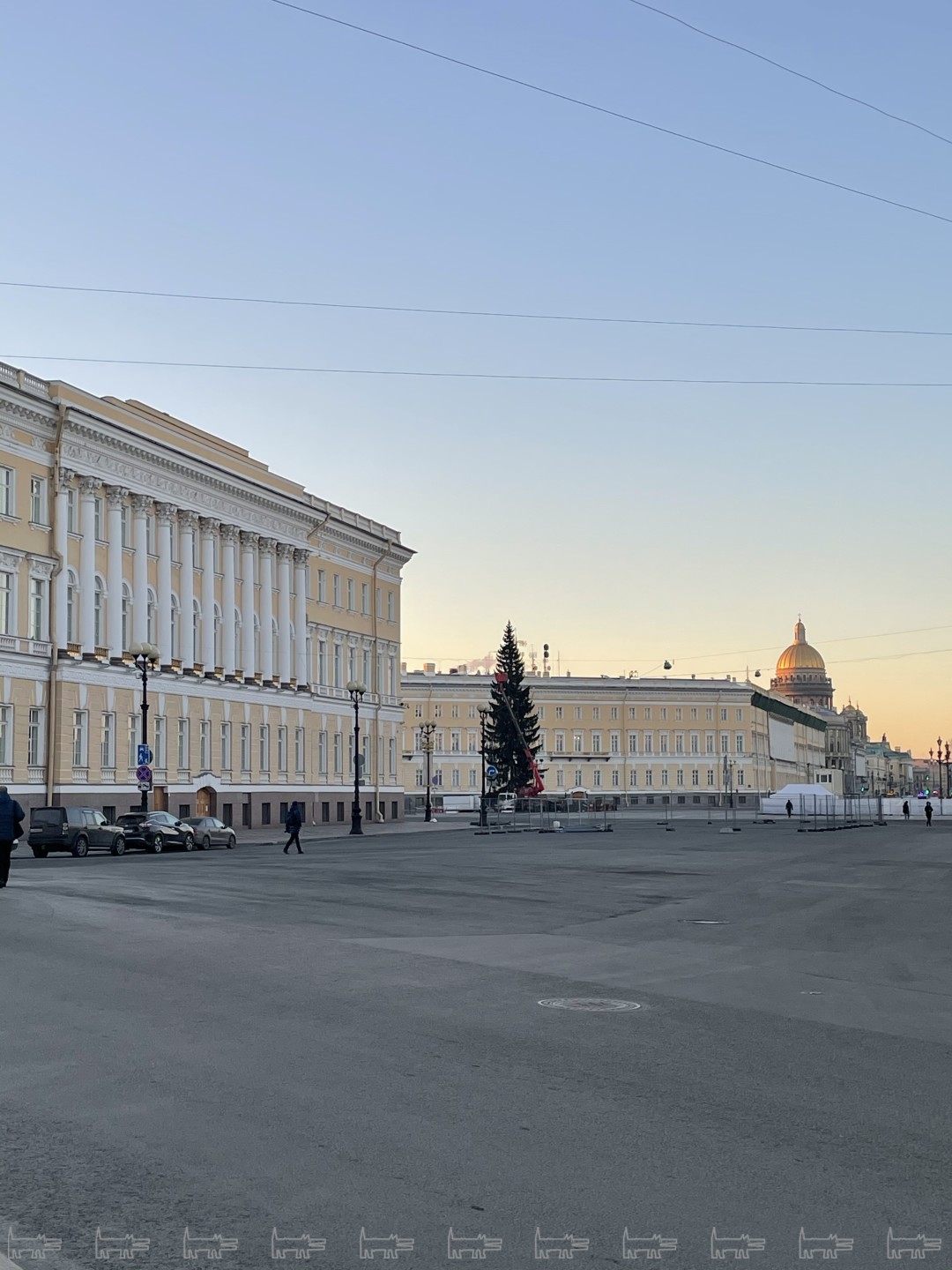 Живой петербург