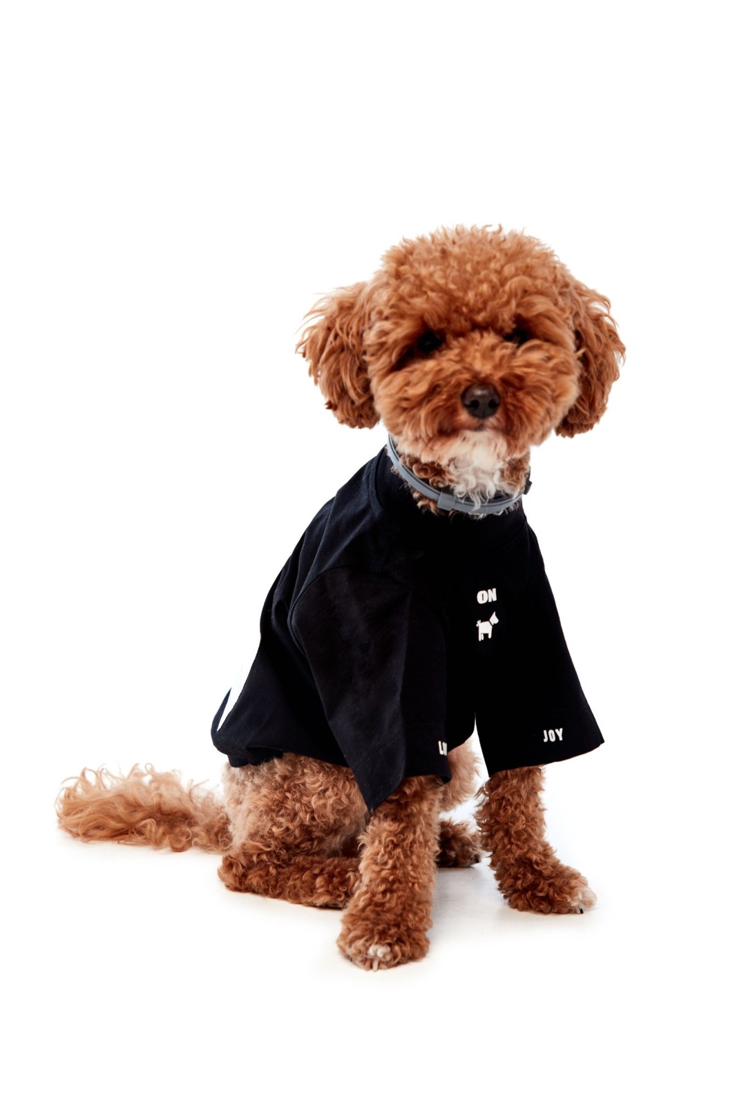 Футболка TTSWTRS, интернет-магазин, 4 900 руб.