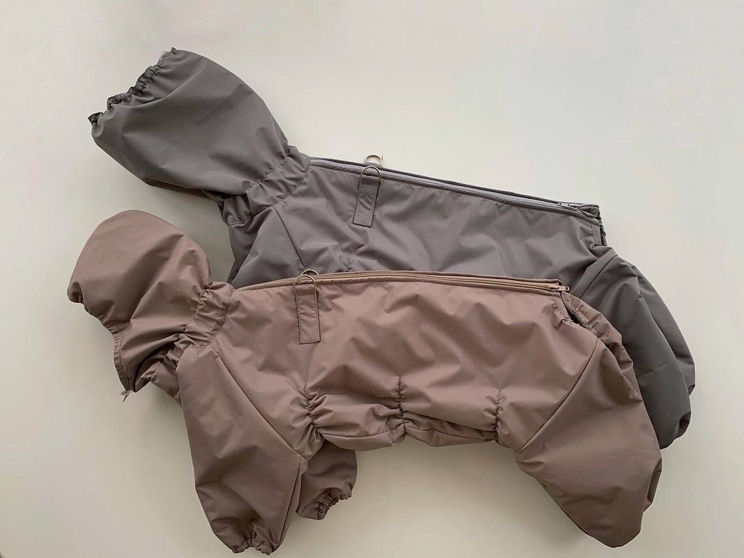 Дождевик Рawsome, заказ онлайн, от 3 000 до 3 500 руб.