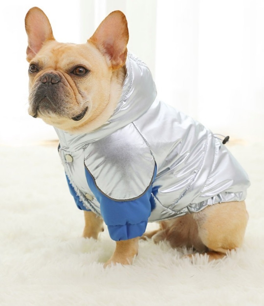 Куртка Rafipets, заказ онлайн, 1400 руб.