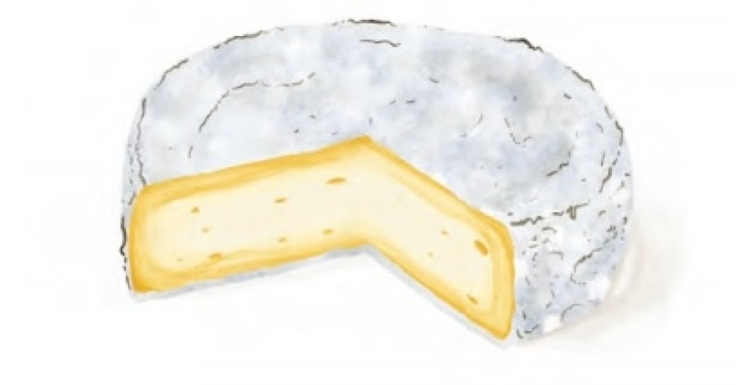 Как сделать сыр с белой плесенью дома