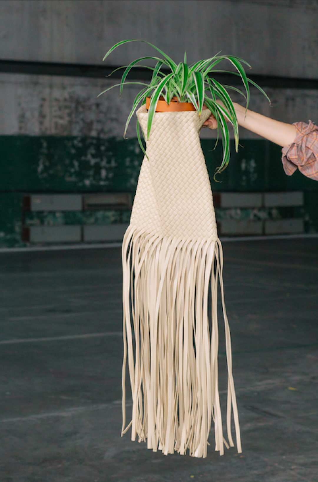 Сумка Bottega Veneta (ДЛТ)