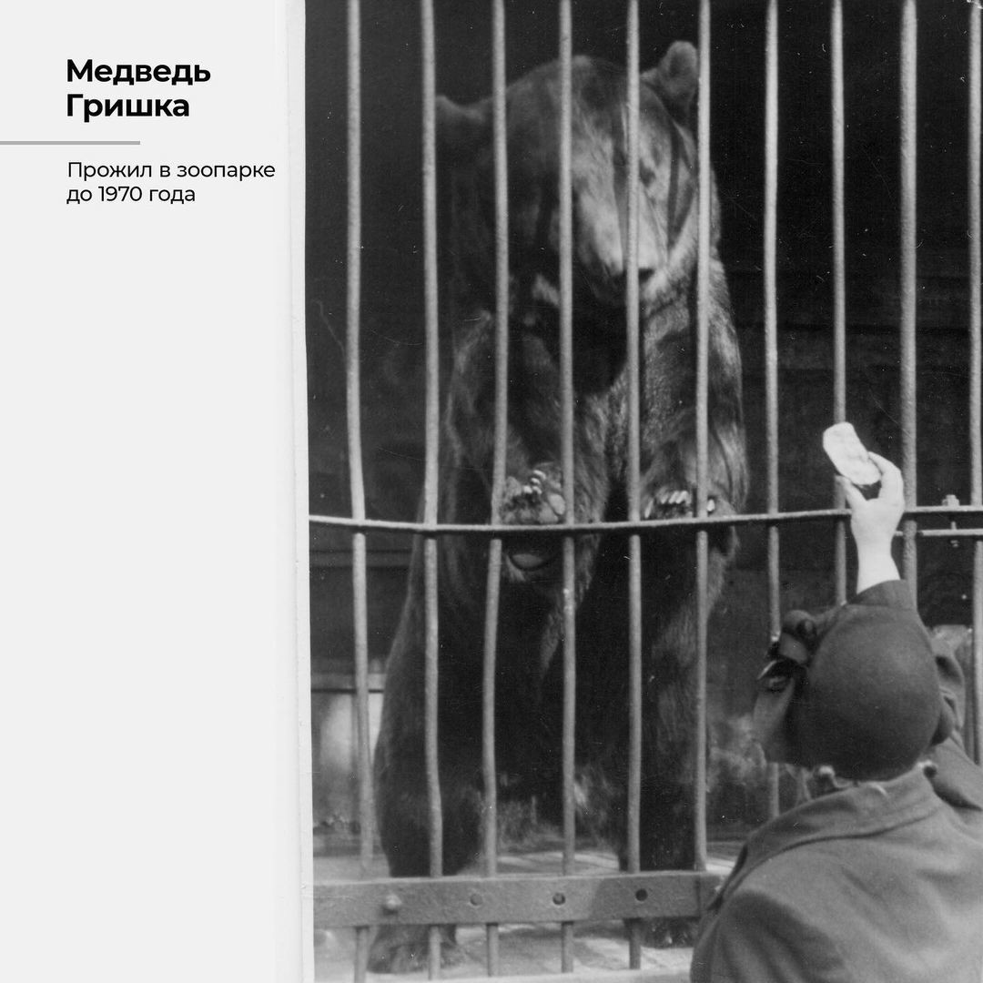 сотрудники московского зоопарка