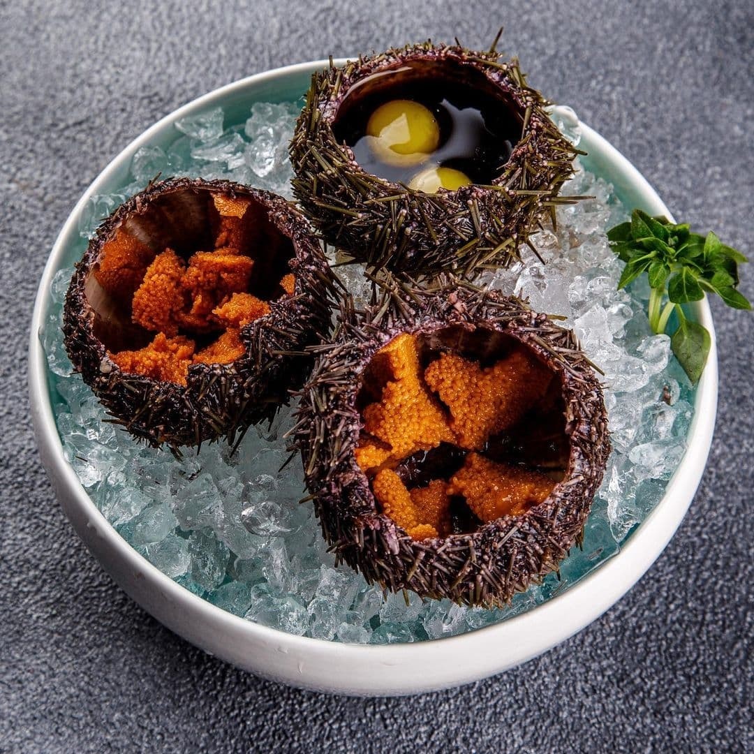 Морские Ежи