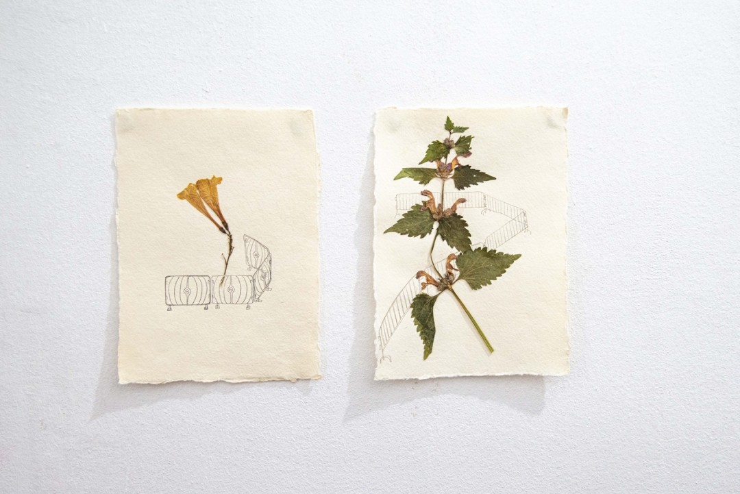 Источник фото.