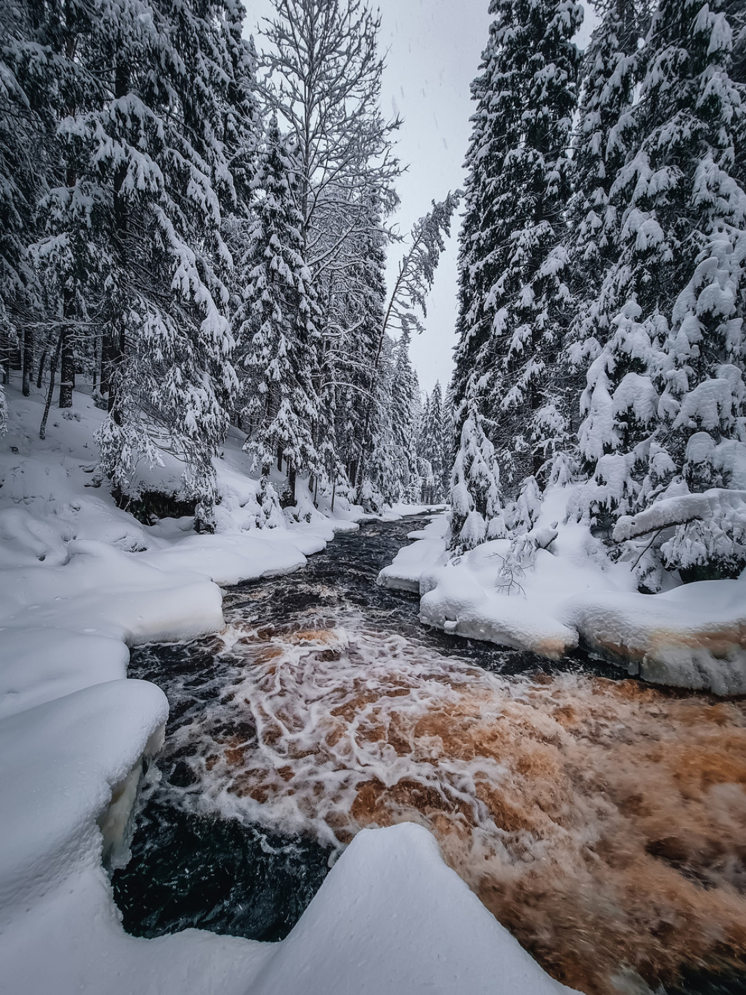 Автор фото: Андрей Михайлов, снято на Samsung Galaxy S21 Ultra