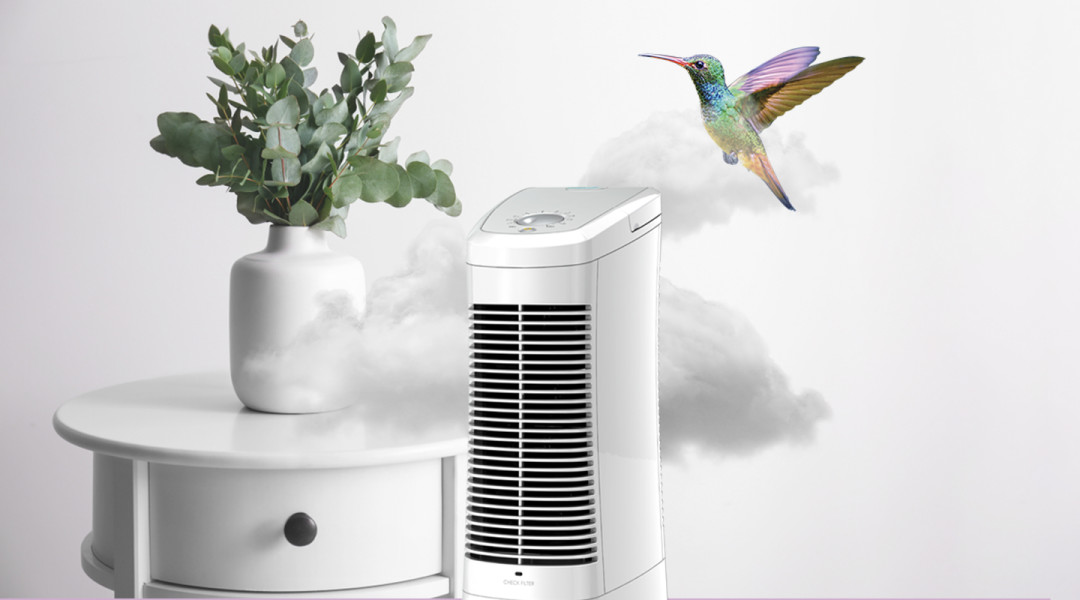 Как выбрать лучший воздухоочиститель для дома