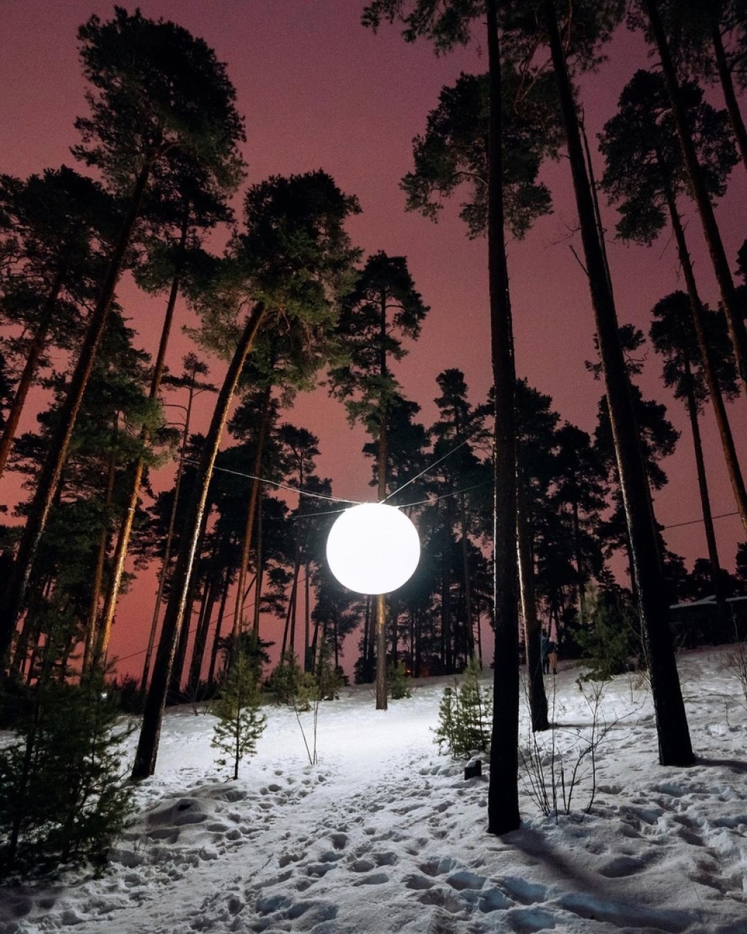 Фото: Андрей Орехов