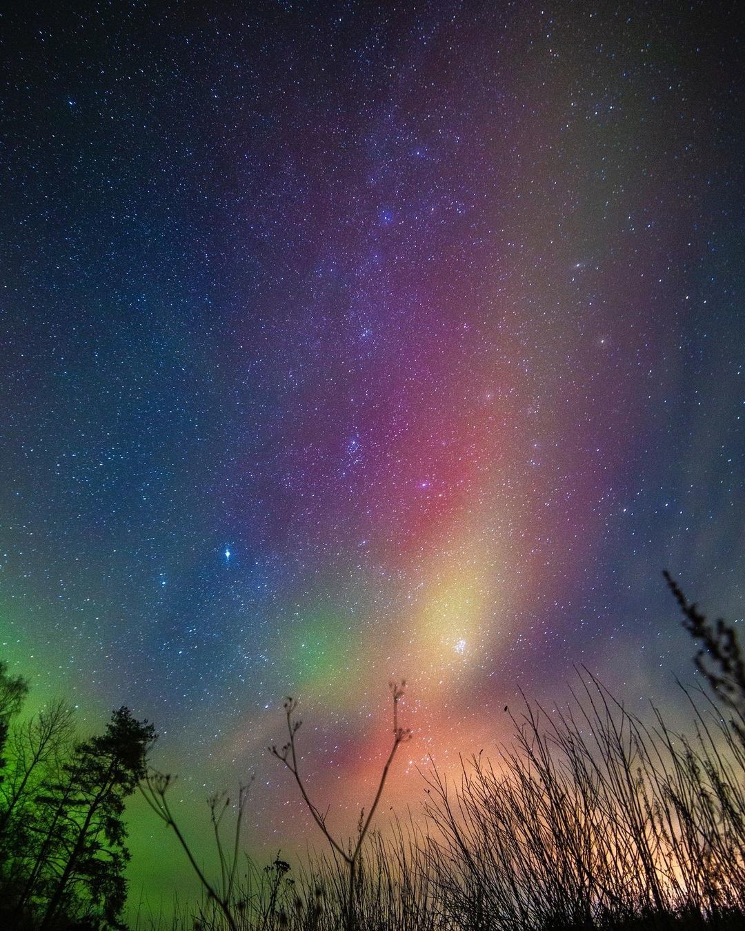 Фото: @lady_noname