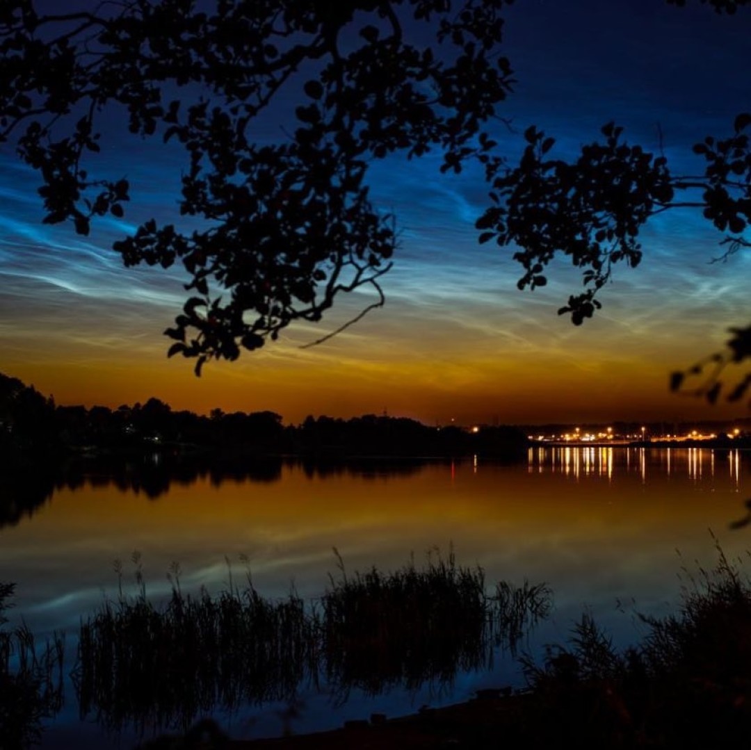 Серебристые облака в Озерках. Фото: @lady_noname