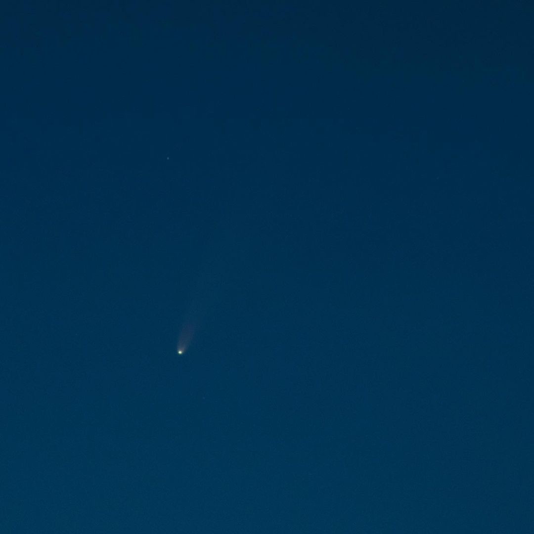 Комета 46P/Wirtanen. Фото: @lady_noname