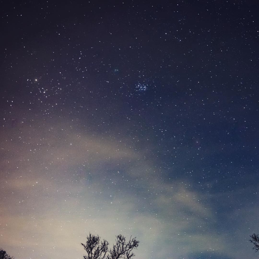 Комета NEOWISE. Фото: @lady_noname