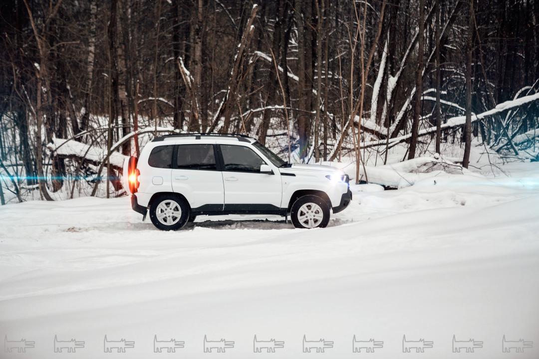 Купить б/у Lada (ВАЗ) Niva I Рестайлинг (Travel) 1.7 MT (80 л.с.) 4WD бензин мех