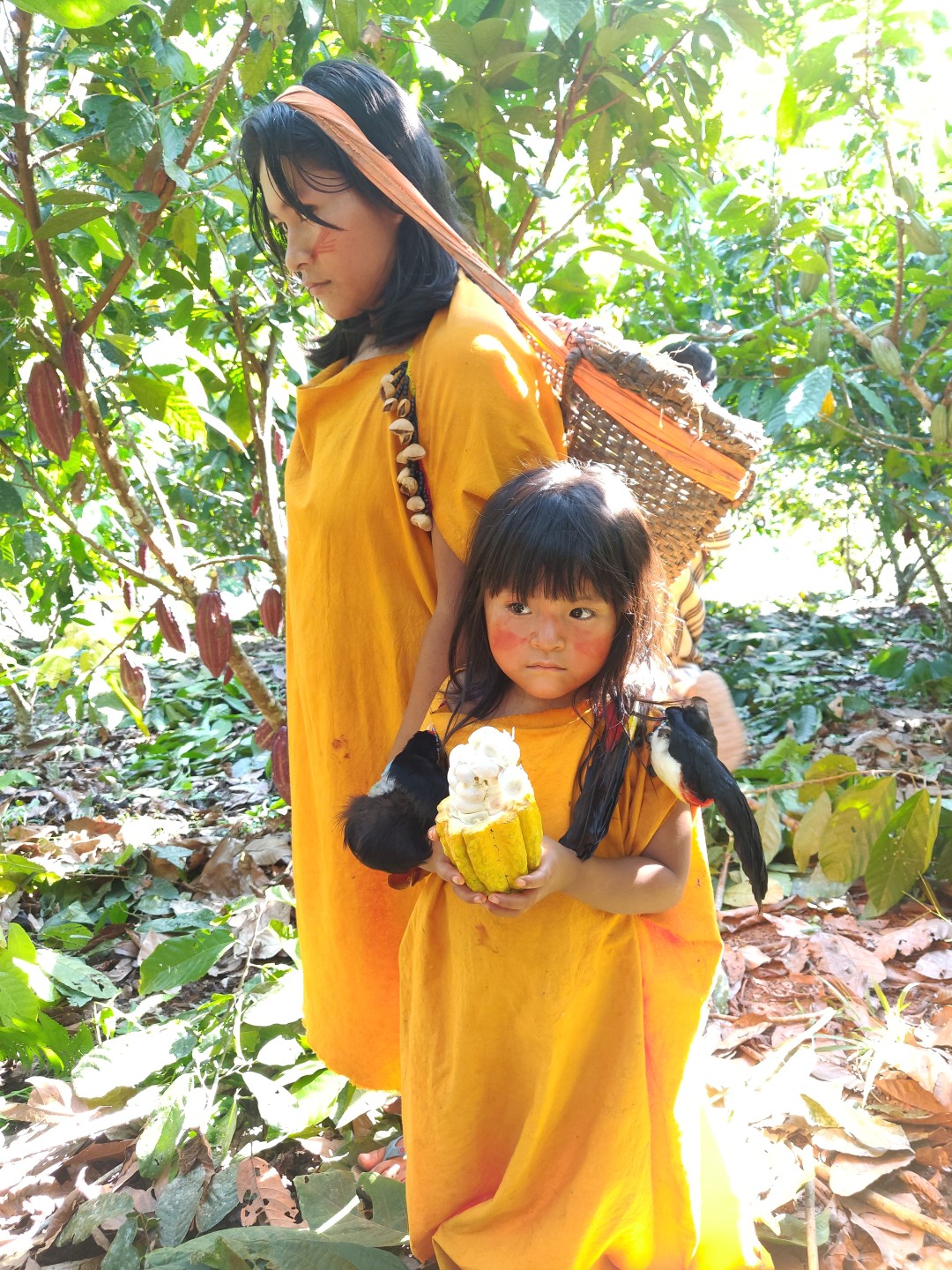 Община Anchatosi