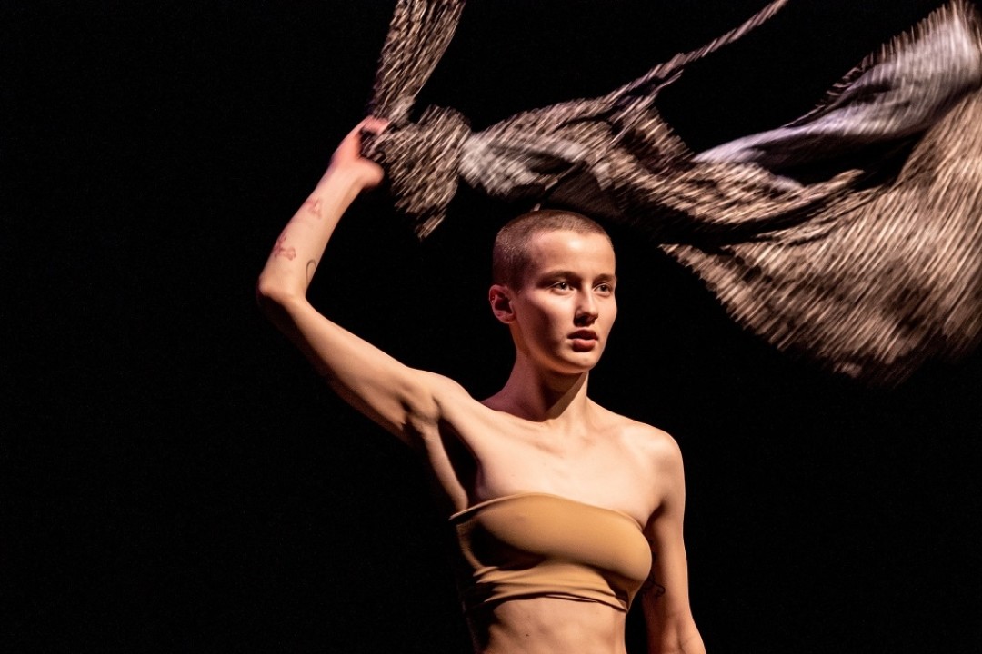 «Лилит» – танцевальный спектакль, коллаборация трёх художниц: Анна Щеклеина - артистка современного танца, независимый художник, постановщица