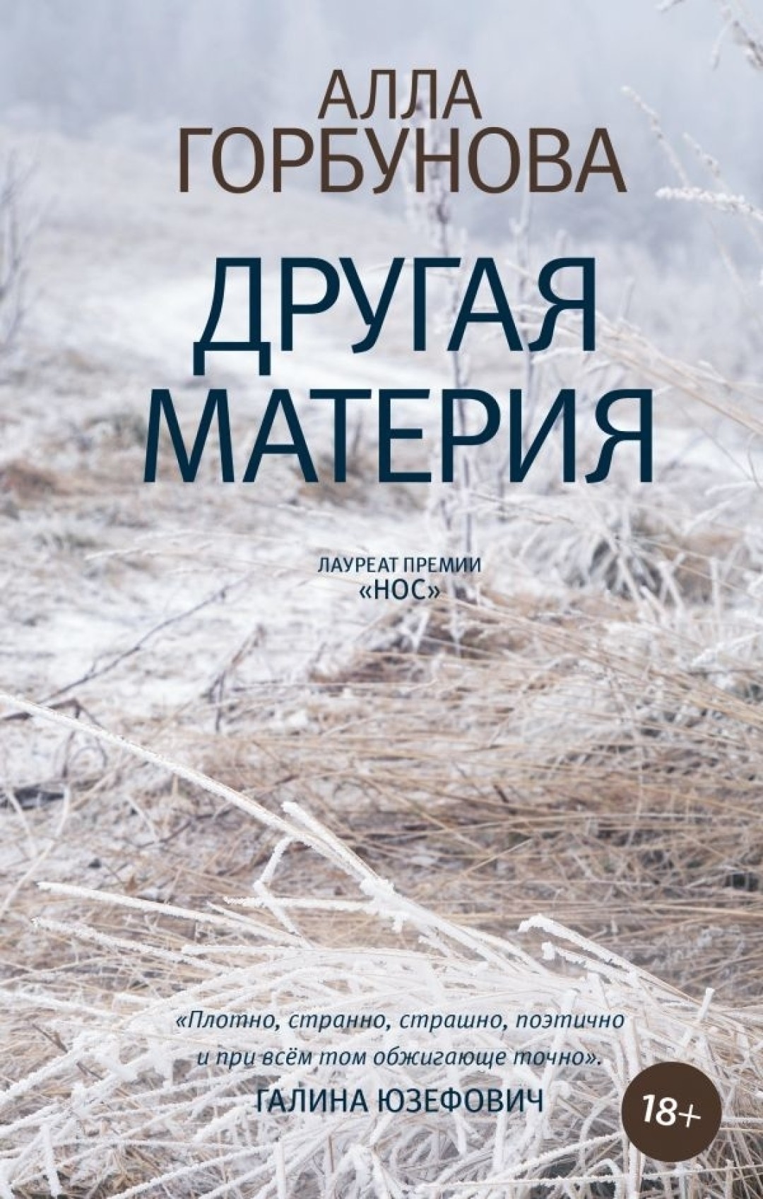 Женихи из садика, свои люди и божественное: Каким получился сборник прозы  Аллы Горбуновой «Другая материя»? | Sobaka.ru