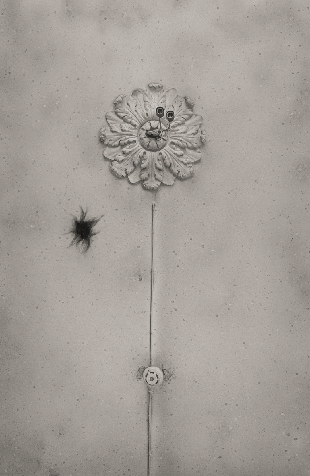 Дмитрий Сироткин. Звезда в парадняке. 2019