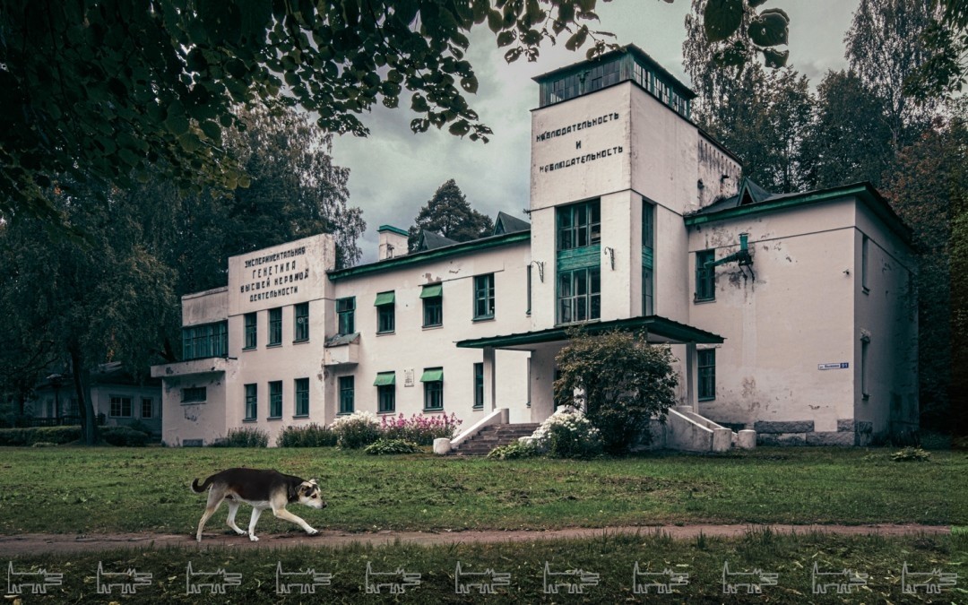Институт физиологии им. Павлова в Колтушах.