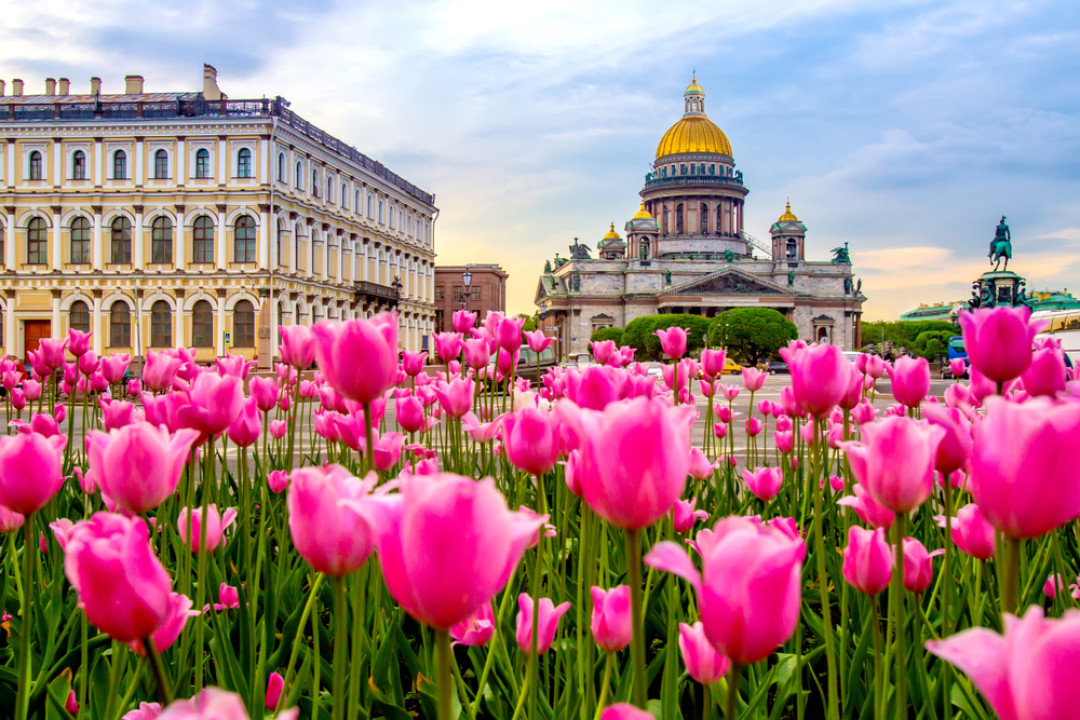 Цветущий петербург фото